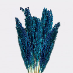 Ramo de erva de Cantal - Azul