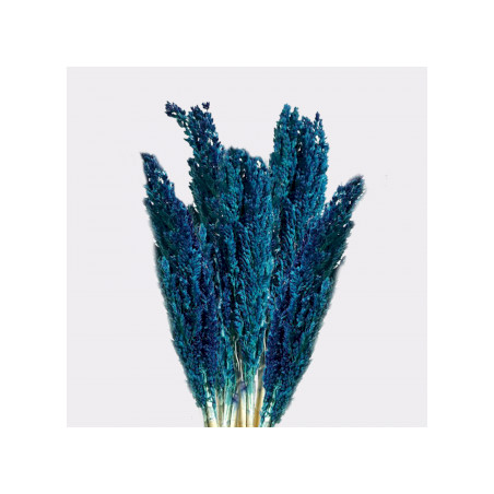 Manojo de Hierba Cantal - Azul