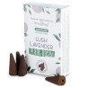 Cones de incenso Herbal Reflux - Lush Lavender