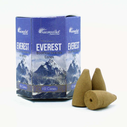Embalagem de 10 Incensos Backflow Masala - Everest