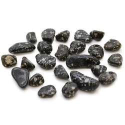 Pequeñas piedras africanas - Gallina de Guinea