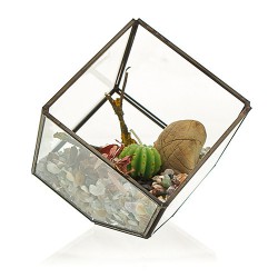 Terrario de Vidrio - Cubo en la Esquina