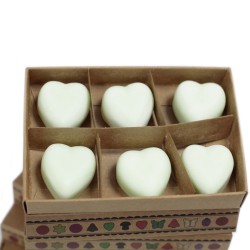 Caixa de 6 ceras de soja - maçã com especiarias