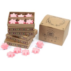Caixa de 6 ceras de soja - Rosa clássico