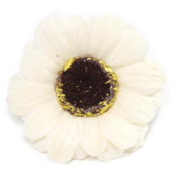 Flor de girasol manualidades deco mediana - marfil