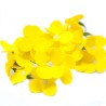Flores de Jabón Manualidades - Jacinto - amarilla
