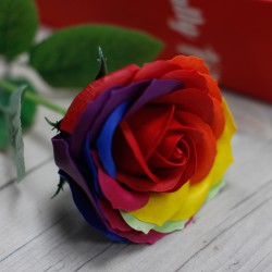 Rosa simple - Arco iris