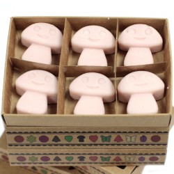 Caixa de 6 ceras de soja - Gengibre