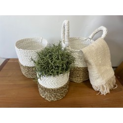Conjunto de cestos de algas - Branco natural