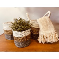 Juego de cestas de algas marinas - Gris / Natural / Blanco