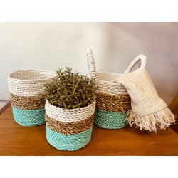 Juego de cestas de algas marinas - Verde/Natural/Blanco