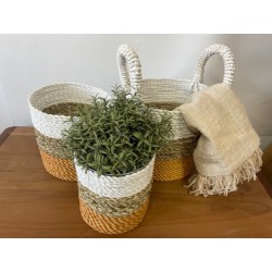 Conjunto de cestos de algas - Laranja/Natural/Branco