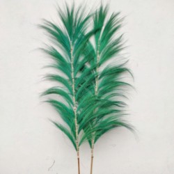 Palma verde Rayung - 1.6m