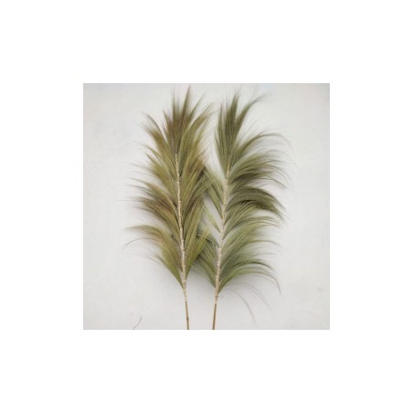 Palmeira Rayung natural - 2m