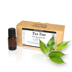 10ml de óleo essencial de árvore do chá sem rótulo