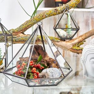 Terrario de Vidrio — Diamante Pequeño
