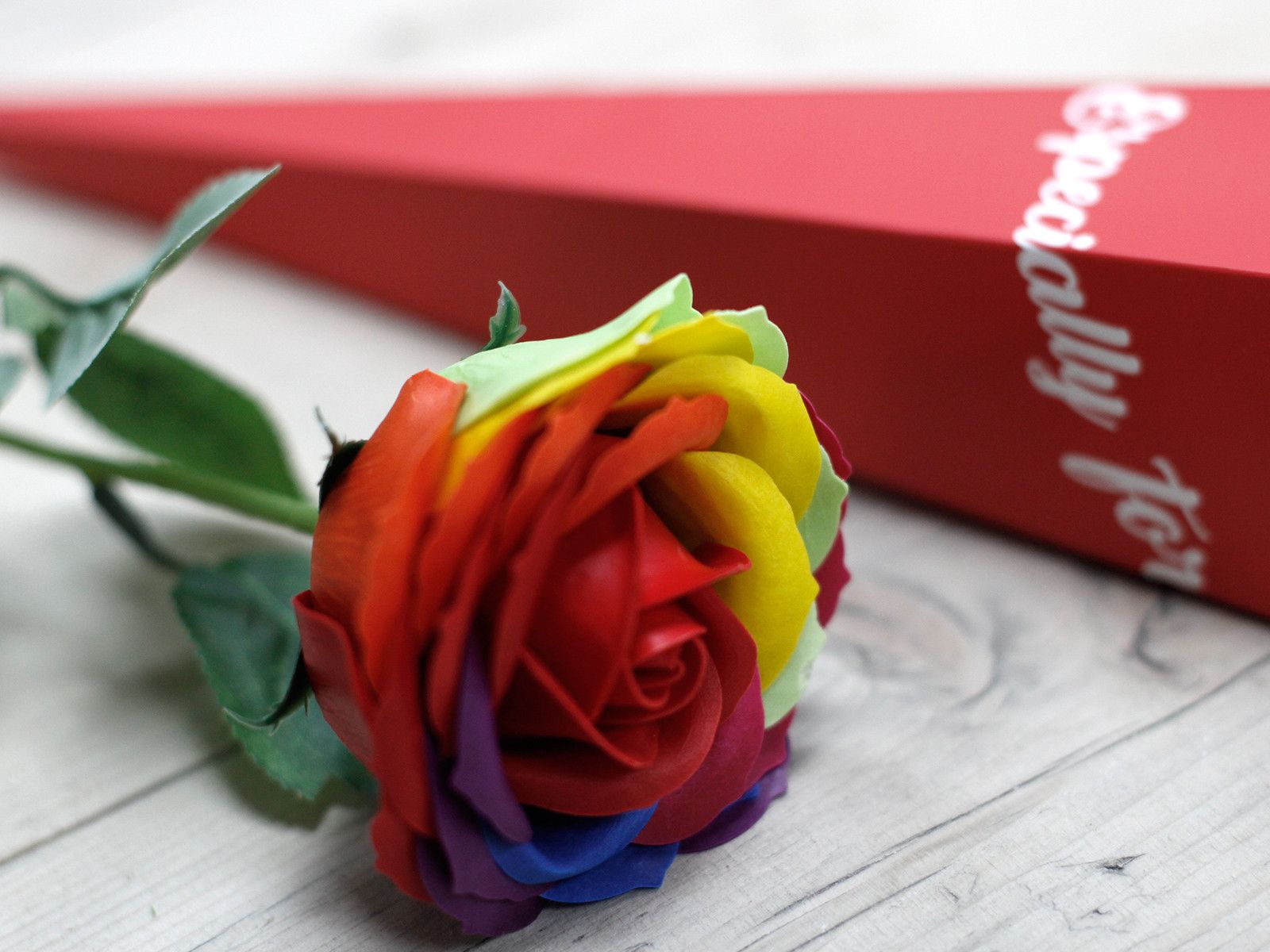 Rosa simple - Arco iris - Imagen 2