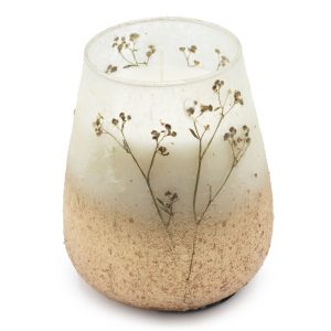 Velas en tarro de vidrio alto - Wildlight Woods