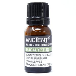 Aceite esencial orgánico - Eucalipto